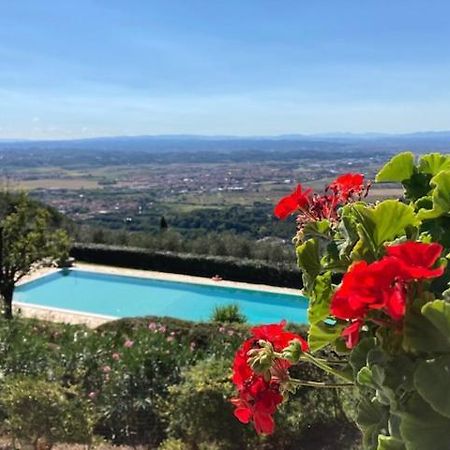 Agriturismo Cima Alla Serra Buti Екстер'єр фото