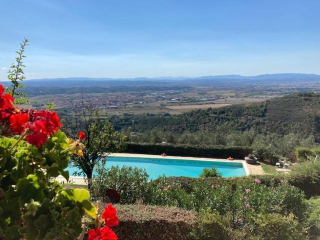 Agriturismo Cima Alla Serra Buti Екстер'єр фото