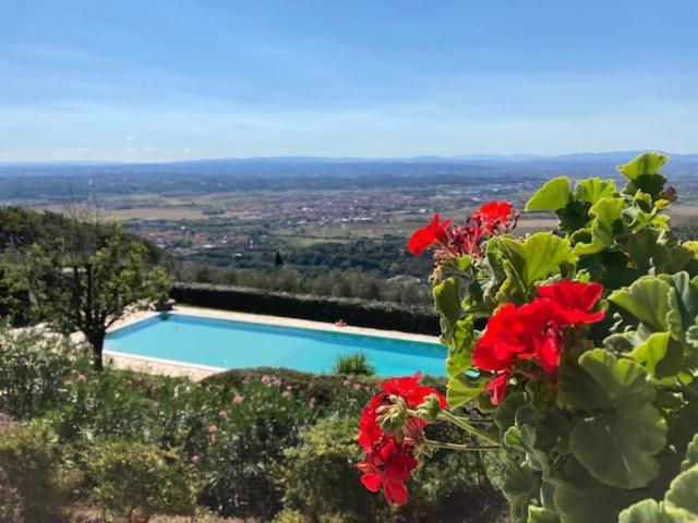 Agriturismo Cima Alla Serra Buti Екстер'єр фото