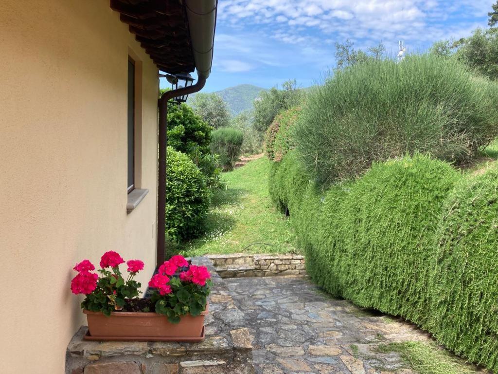 Agriturismo Cima Alla Serra Buti Екстер'єр фото