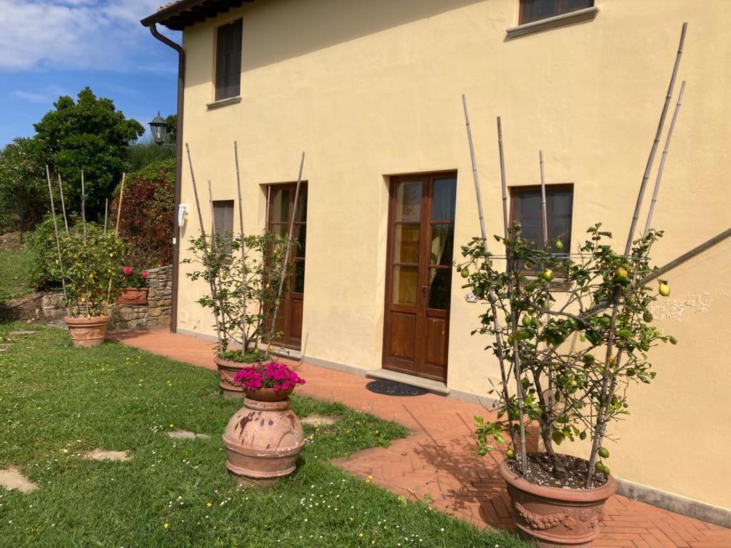 Agriturismo Cima Alla Serra Buti Екстер'єр фото