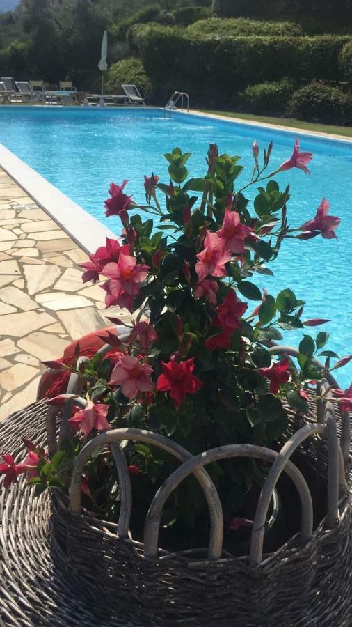 Agriturismo Cima Alla Serra Buti Екстер'єр фото